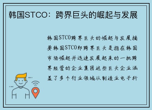 韩国STCO：跨界巨头的崛起与发展