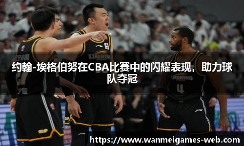 约翰-埃格伯努在CBA比赛中的闪耀表现，助力球队夺冠